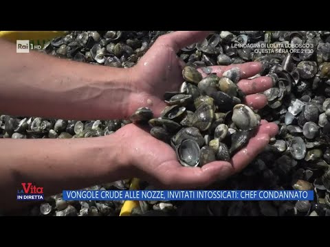 Vongole crude alle nozze, invitati intossicati: chef condannato - La Vita in diretta - 11/03/2024