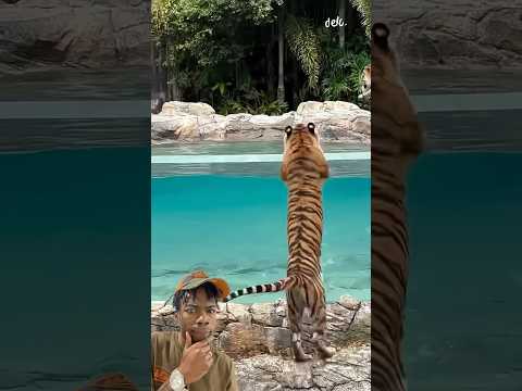 Its only one way to get him to bathe 💀