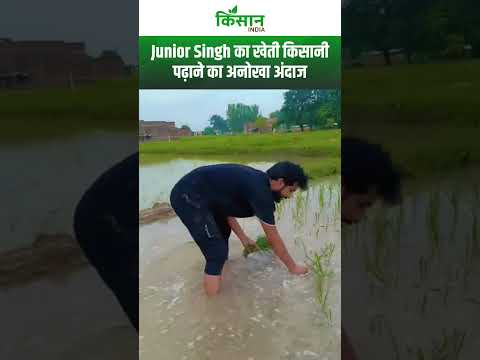 Junior Singh का खेती किसानी पढ़ाने का अनोखा अंदाज। Kisan India #Shorts #education #teacher #Agri