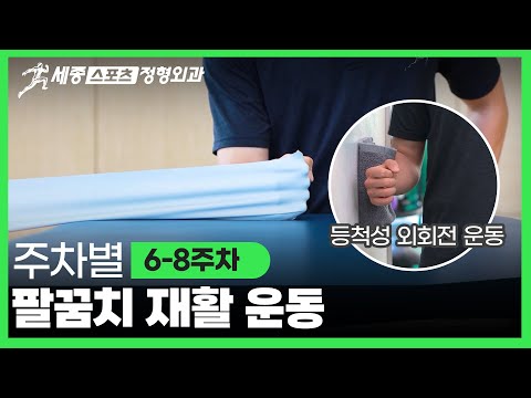 6~8주차 팔꿈치 재활 운동 | 밴드운동, 플렉서바,  회전근개 운동 등