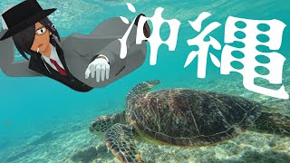 【沖縄旅行VLOG】ウミガメと星に出会った日 / 日本最南端の有人島・波照間島【後編】