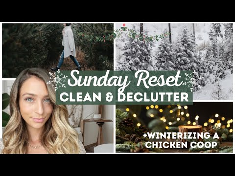 Sunday Reset | Clean & Declutter | How to Winterize a Chicken Coop