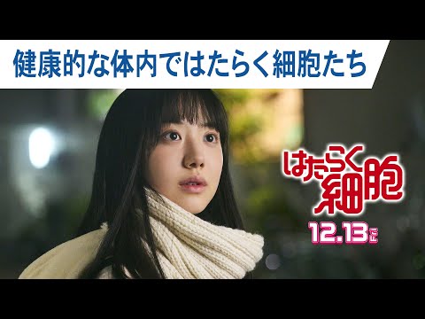 映画『はたらく細胞』健康的な体内ではたらく細胞たち（健康な高校生・日胡の体内） 2024年12月13日（金）公開！