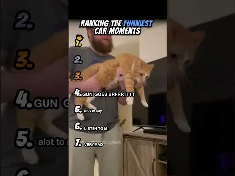 Ranking Funniest Cat Moments Part 8 #shorts #catshort #catrank #ranking
