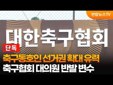 [단독] K5~K7 축구동호인 선거권 확대 유력…축구협회 대의원 반발 변수 / 연합뉴스TV (YonhapnewsTV)