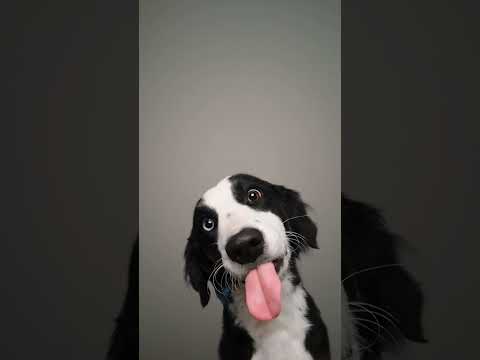 #relaxing #relax #sound