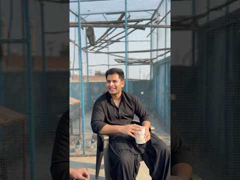 Lahori Kabutar gayab(PT-1)🕊️😱😭#trending #emotional #motivation #shorts