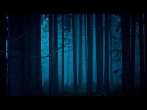 'Alone Tonight' Furure Garage Mix 2013 (►Mix #13◄) - UCd24KR51l3JzGZh7GoW0OEg