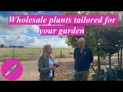Wholesale plants tailored for your garden