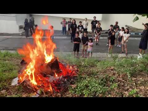 一日限りで燃やす獅子　22年ぶりに使った伝統素材はバナナの木の芯 01