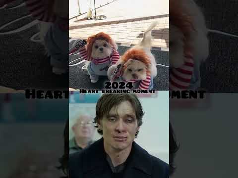 NOT THE BEST HALLOWEEN #petshub #birdtrend