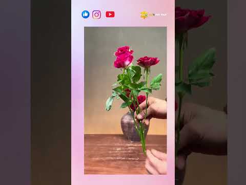 Bạn đang bí ý tưởng cắm hoa ???