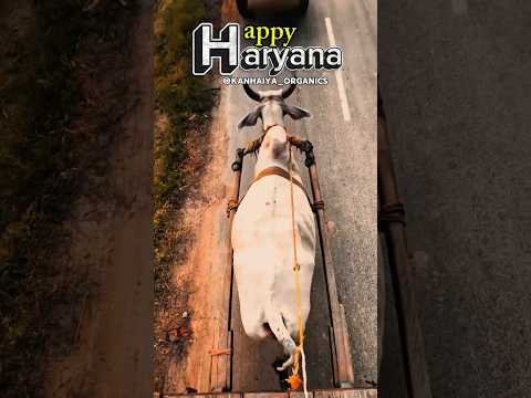 Haryana Day special#YouTube status#YouTube shorts#viral video#trending#deshon mein Desh Haryana#desh