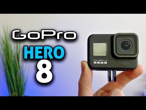 GoPro HERO 8: My Brutally Honest Review! - UCgyvzxg11MtNDfgDQKqlPvQ