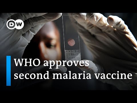 Vaccine progress could lessen malaria threat | DW News