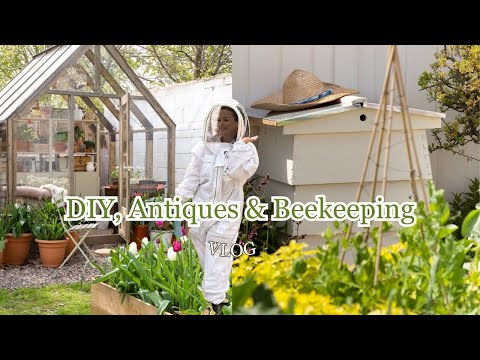 🐝 EXCLUSIVE: My First Beekeeping Adventure! Inside the Hive, Orchards & Antiques