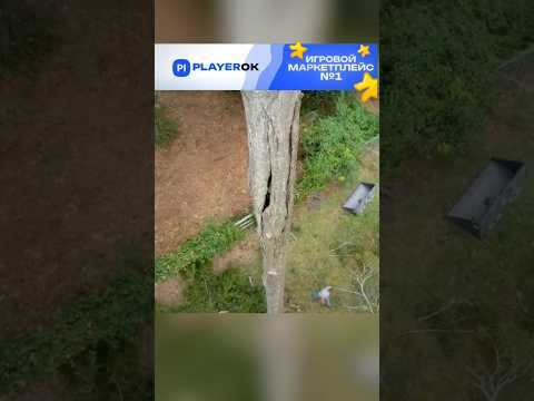 Неожиданный поворот 🤣🤣🤣 #shorts