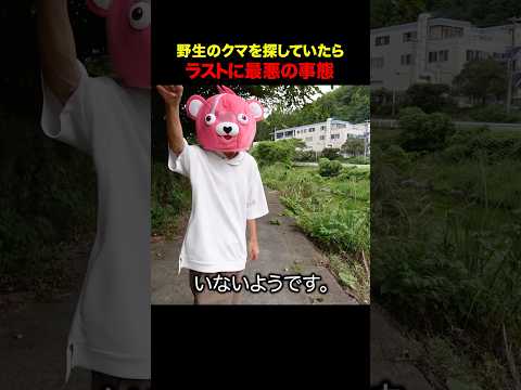野生のクマを見つけようとしたら...#shorts #ティアロ疾風伝 #チャレンジ #衝撃の事実 #検証