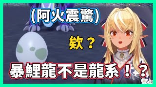 又解開了一個誤會！？得知原來暴鯉龍不是龍一臉不敢相信的阿火【hololive/不知火フレア】