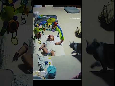 Phillies land All-Star closer Jhoan Duran ahead of MLB trade deadline 👀🔥 #JhoanDuran