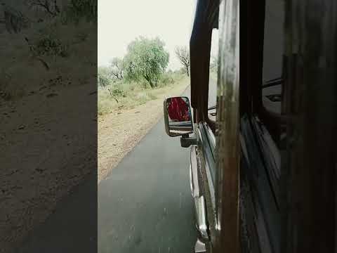 4 अक्तूबर 2025