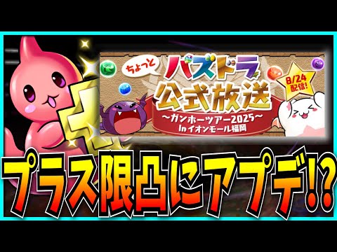 例のプラス限界突破が遂にテコ入れされる事になったらしいパズドラ公式放送見るぞ！【ガンホーツアー・鬼滅の刃コラボ】