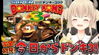 【スーパードンキーコング3/初見プレイ】🍌SUPER DONKEY KONG3【Vtuber緋月かのん】#スーパードンキーコング3 #初見さ