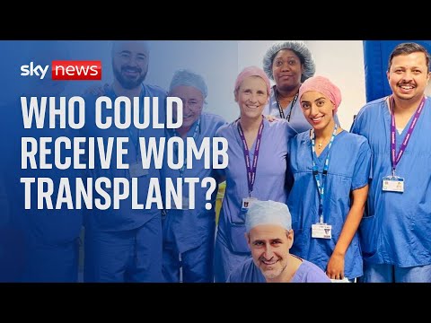 UK's first womb transplant opens up fertility possibilities