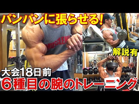 【筋トレ】大会18日前の腕のトレーニング！6種目で追い込んで二頭筋と三頭筋をパンパンに張らせる！【解説有】