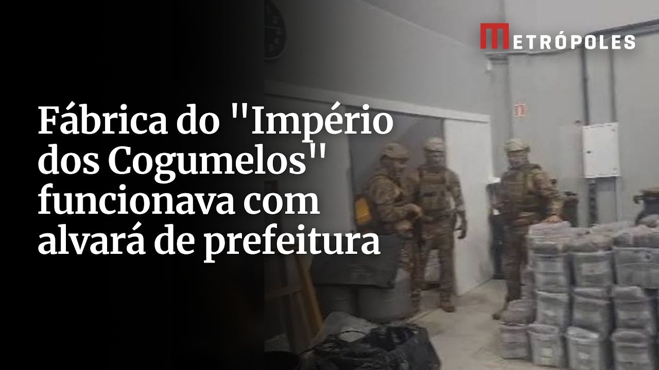 Fábrica do Império dos Cogumelos funcionava com alvará de prefeitura