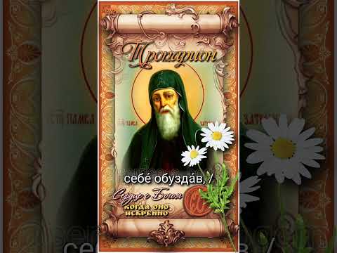 31 июля Прп. Памво, затворник Печерский (XIII век)