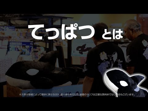 【房州弁】てっぱつシャチぬいぐるみ｜鴨川シーワールド55周年限定販売！