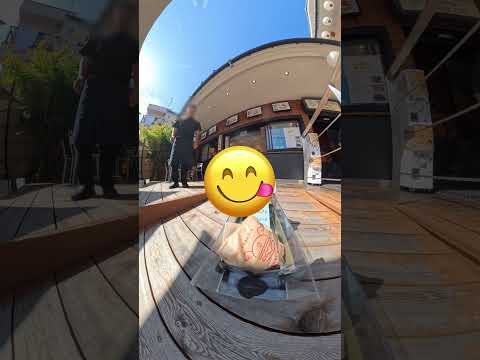 【RC shopping】Buying 
