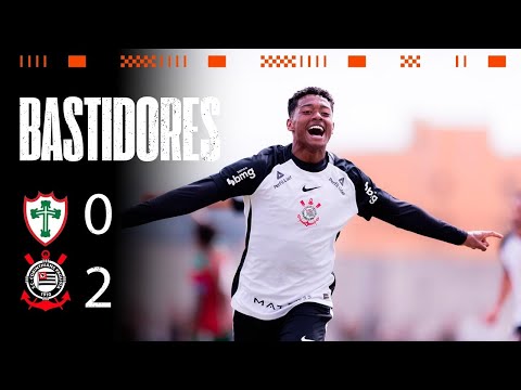image para ilustrar o artigo