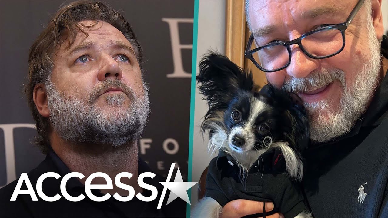 Russell Crowe’s Beloved Dog Louis Dies In His Arms After Being Hit By Truck: ‘He Won My Heart’