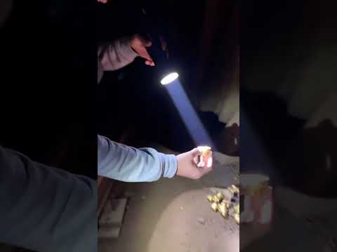 Klik hier om Kwebbelkop van 3 november te bekijken.