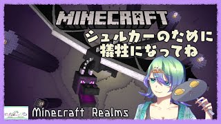【マイクラ】エンドラをちゃっちゃか倒す【雑談】