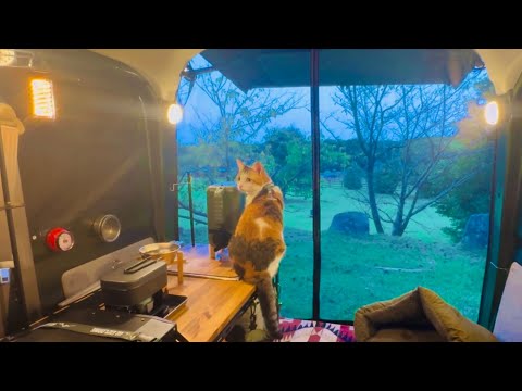 うみ と初めて車中泊をしたよ。