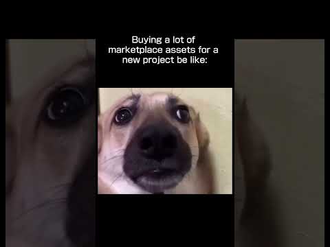 Its great that there are free assets every 2 weeks #memes #gamedevelopment