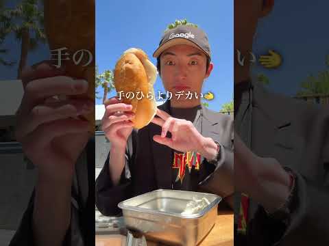アメリカのGoogle本社でランチしてみた🇺🇸 #グーグル
