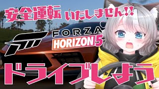 【Forza Horizon 5】参加型 メキシコを駆け抜けろ！悲鳴が鳴り響くドライブ配信【VTuber 晩景緋音】174