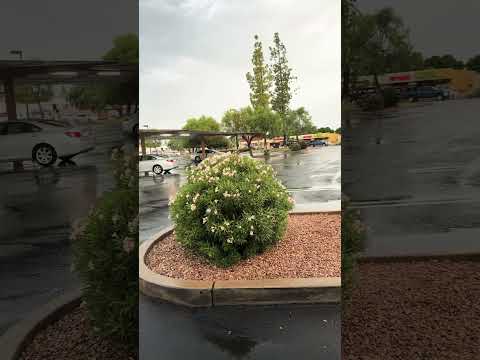 Day Two at the Hotel No Tell