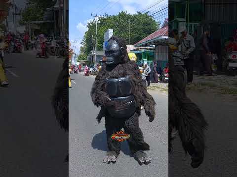 Kingkong Ngarak