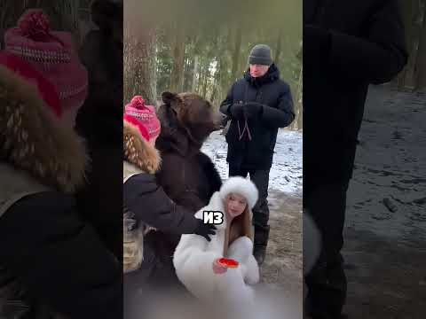 Мишку отвлекали как могли..