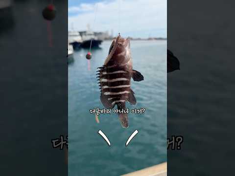 꽝이 없는 <strong>낚시</strong>