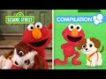 Sesame Street Celebrate Puppy Day with Elmo & Tango  1 Hour Compilation