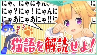 にゃんにゃにゃにゃにゃにゃにゃん！