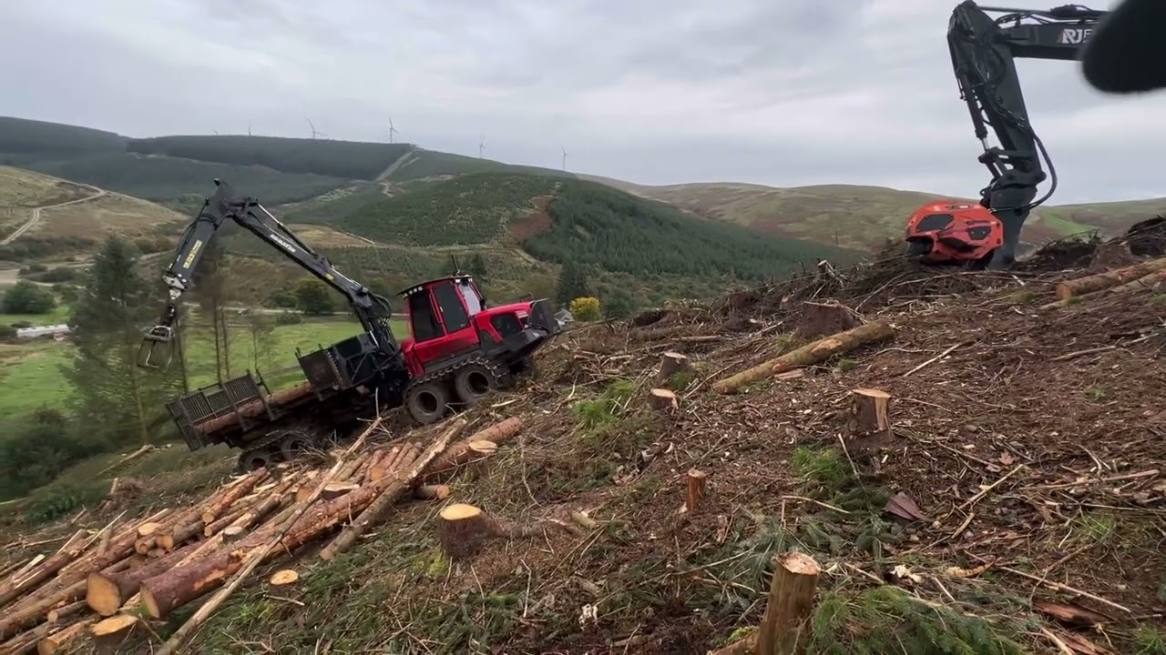 New Tigercat Carbonizer | Forest Machine Magazine