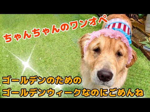 【ちゃんちゃんのワンオペ子育て】ゴールデンのためのゴールデンウィークなのに自宅で過ごしてごめんね