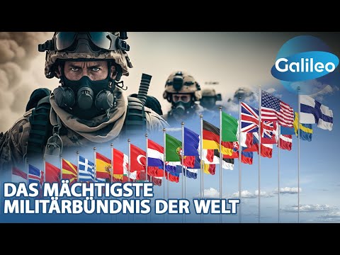 Inside NATO: Wie agiert das mächtigste Militärbündnis der Welt?